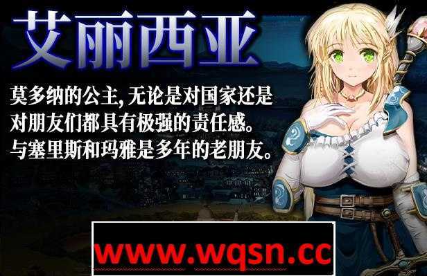 弥赛亚骑士团 支线任务 CG