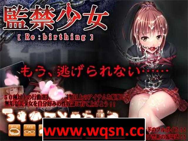 [互动SLG/2D] 监禁少女：Re birthing +攻略2.8G-造梦少女游戏造梦少女游戏网