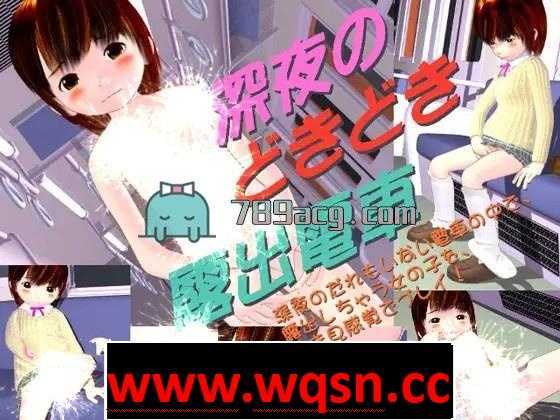 【互动SLG/全动态】[铜矿]深夜心跳加速的露出電車 DL正式版【老物/100M】-造梦少女游戏造梦少女游戏网
