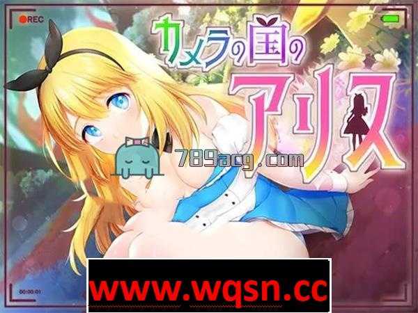 【互动SLG/养成/全动态】艾薇之国的爱丽丝 V1.00 完整正式版+全CG【3G】-造梦少女游戏造梦少女游戏网