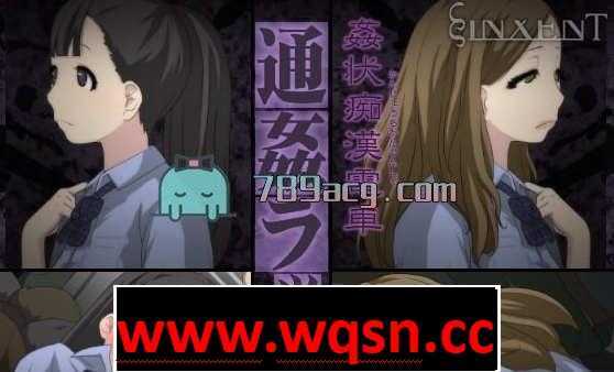 【互动SLG】奸状痴汉电车~通勤高峰篇~作弊版【全动态】【无文字】【极品画风】-造梦少女游戏造梦少女游戏网