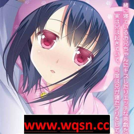 【优质铜矿/生肉】哥哥睡着了吗:お兄ちゃん寝ちゃった【PC+安卓KR/400M】 - 造梦少女游戏网-造梦少女游戏造梦少女游戏网