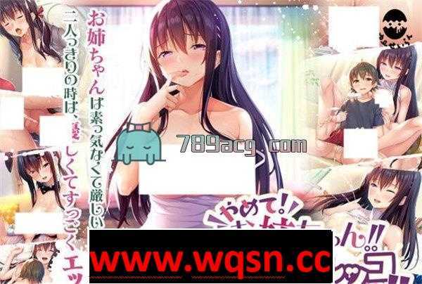 【拔作ADV/汉化/全CV】请停手吧姐姐大人！要断了！完整汉化版+全CG【PC+安卓KRKR4.3G】-造梦少女游戏造梦少女游戏网