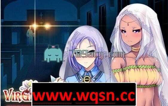 图片[3]-造梦少女游戏【战略SLG/汉化】少女之路2代：初夜权强夺主教再临 DLC1-2 全整合汉化版【PC+安卓KR】 - 造梦少女游戏网-造梦少女游戏造梦少女游戏网