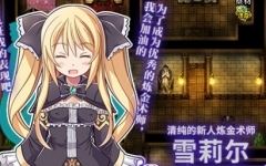 [RPG/汉化] 雪莉尔的大冒险～金色巨龙与遗迹之岛～ Ver1.02官方中文版 [多空/1.1G]-造梦少女游戏造梦少女游戏网