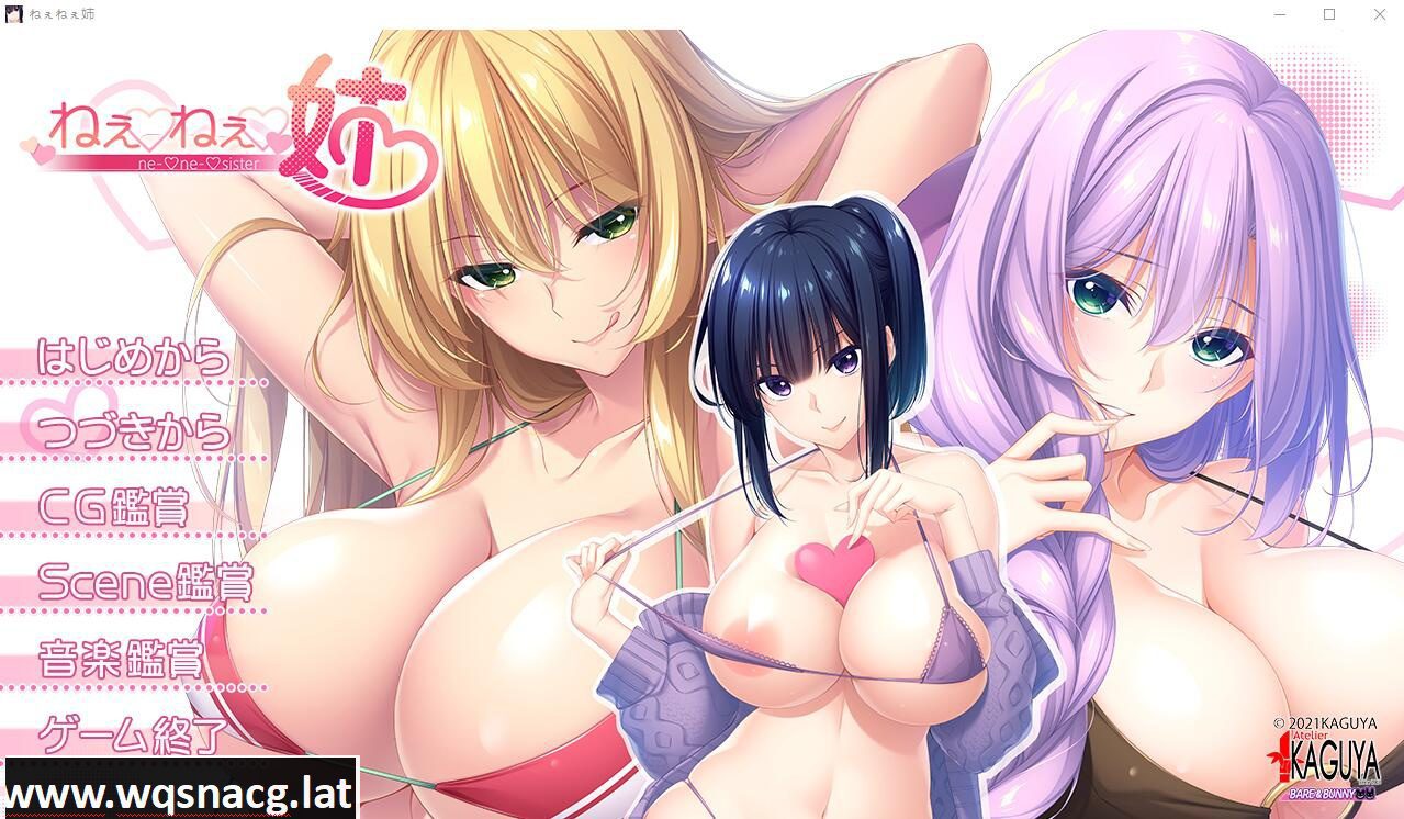 [ADV/汉化/动态] 姐姐们！ねぇねぇ姉！汉化版全CG包 [4.3G]-造梦少女游戏造梦少女游戏网