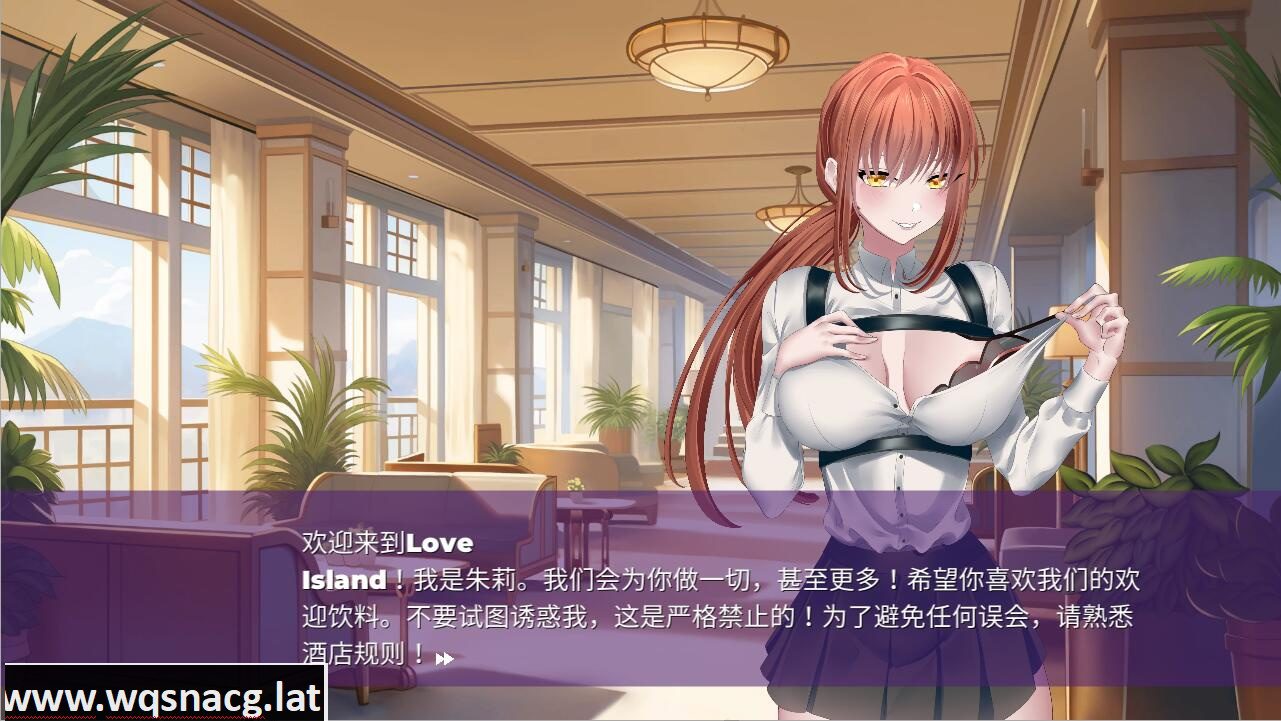 [SLG/中文] 爱情岛 Love Island STEAM官中无修版 [多空/500M]-造梦少女游戏造梦少女游戏网