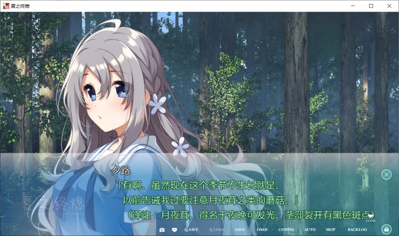 [ADV/汉化] 夏之终熄：夏ノ終熄 虚窅个人汉化版+全CG存档★全CV  [多空/1G]-造梦少女游戏造梦少女游戏网