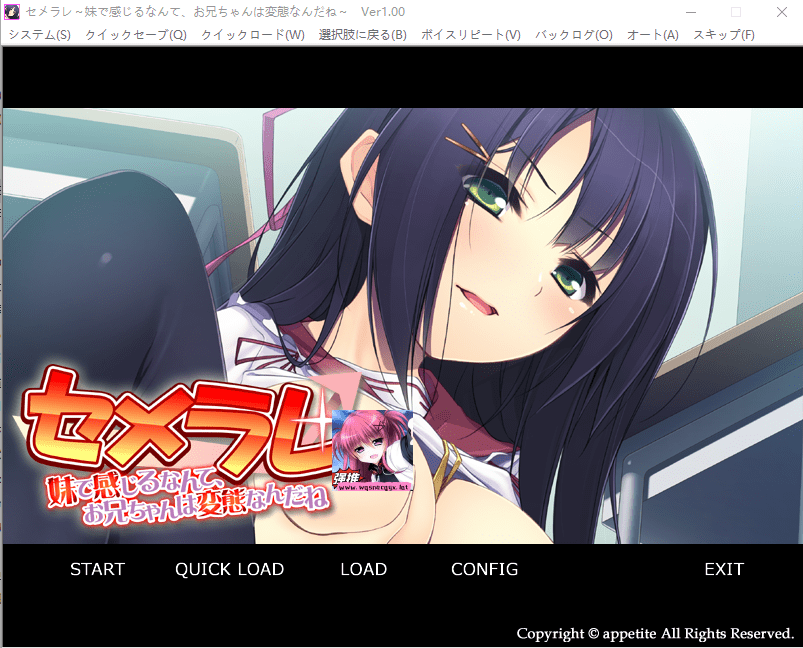 [ADV/汉化] 居然对妹妹有感觉，哥哥你真是变态呢~ AI汉化版★全CV 500M-造梦少女游戏造梦少女游戏网