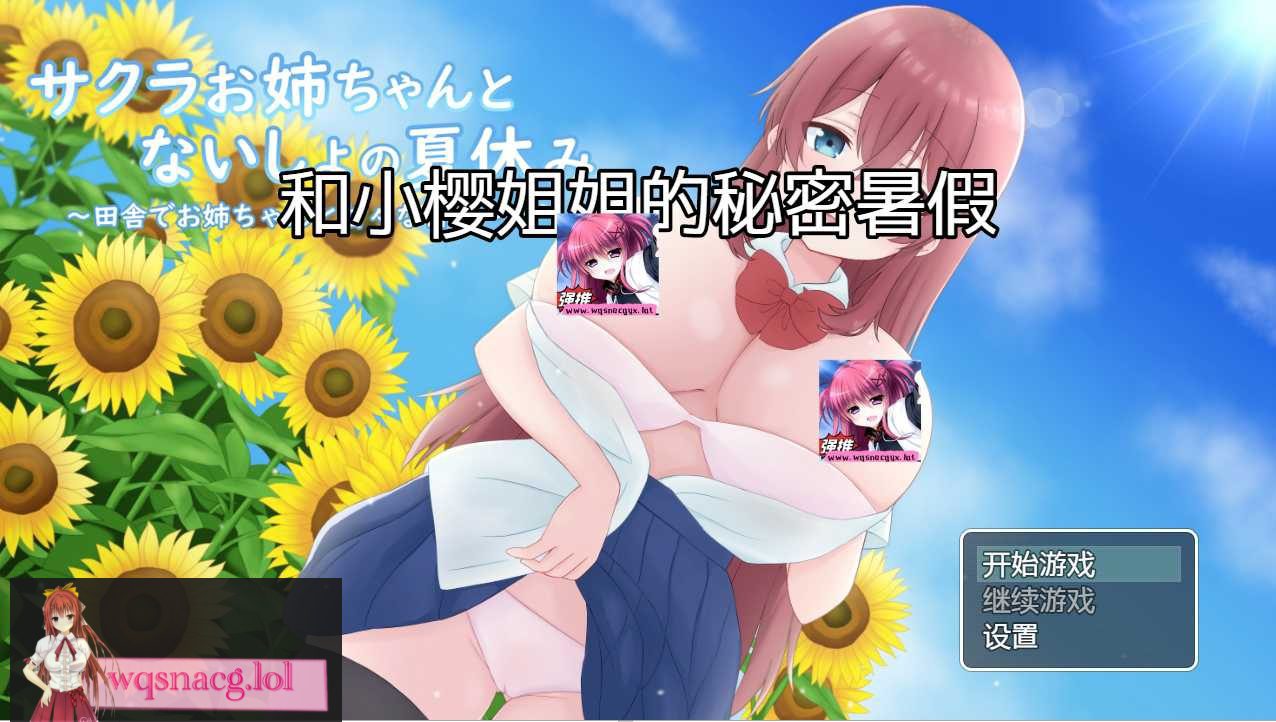 [日系RPG/汉化] 和小樱姐姐的秘密暑假 サクラお姉ちゃんとないしょの夏休み PC+安卓汉化版 1.2G-造梦少女游戏造梦少女游戏网