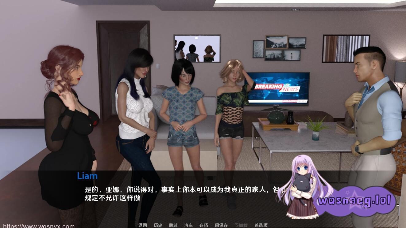 [SLG/汉化/动态] 另类家庭 AlternativeFamily-0.5 PC+安卓汉化版2.9G-造梦少女游戏造梦少女游戏网