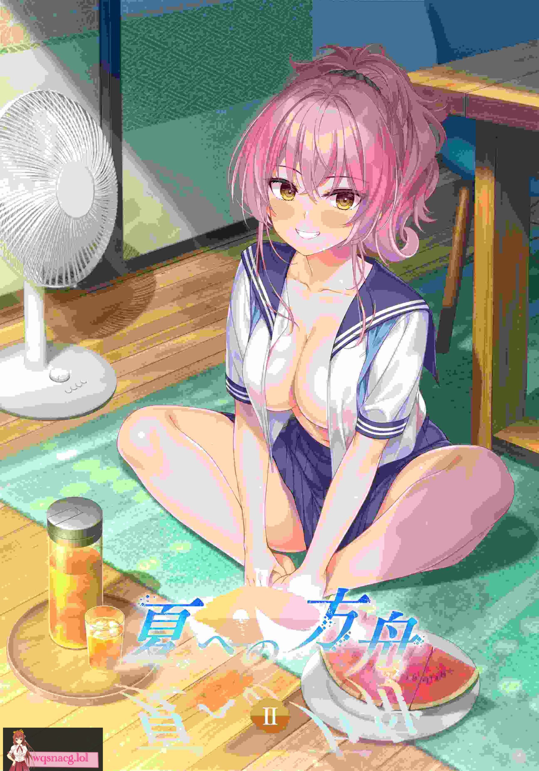 [2024年9月27日新作/ADV游戏][全CG存档]夏への方舟II  官方中文硬盘版+全CG存档1.5G-造梦少女游戏造梦少女游戏网