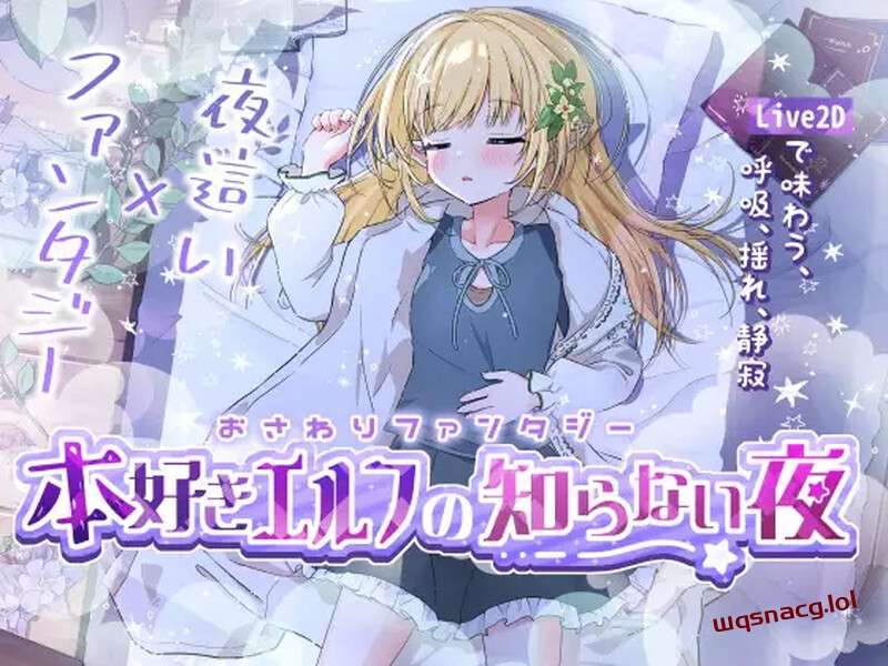 [互动SLG] 触摸幻想 喜欢书的精灵的未知之夜（おさわりファンタジー本好きエルフの知らない夜）V1.0 DL机翻-造梦少女游戏造梦少女游戏网