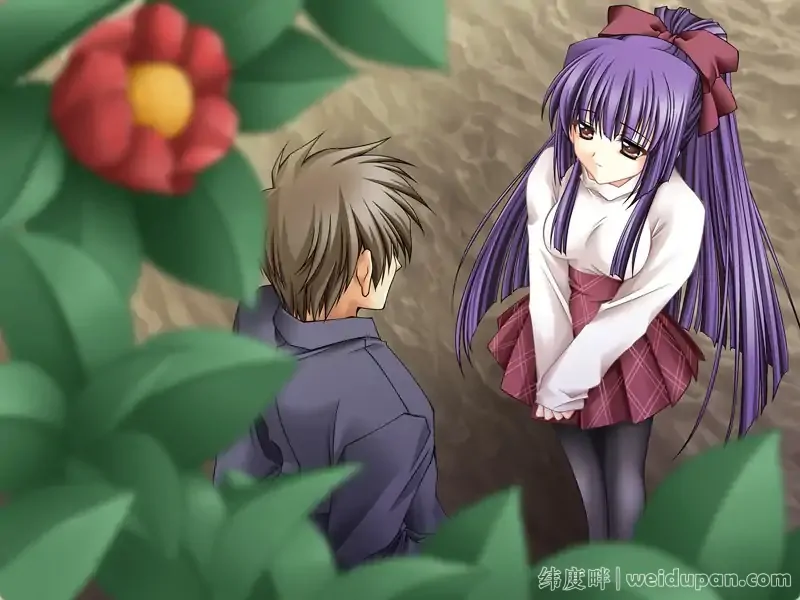 【神作ADV汉化】无颜之月 RENEWAL精翻完结+全CG存档+动画3.5G-造梦少女游戏造梦少女游戏网