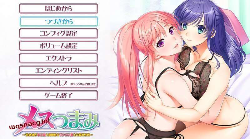 [拔作ADV] 亲密关系～照顾人的年长妻子和认真的冷淡妻子的爱欲生活～v1.0 AI汉化版+全CG存档 2.2G-造梦少女游戏造梦少女游戏网