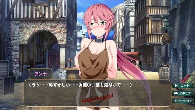 [互动SLG] 骑士安娜 -奴隶调教记录 騎士アンナ -奴隷調教記録 v1.0 AI汉化 [1G]-造梦少女游戏造梦少女游戏网