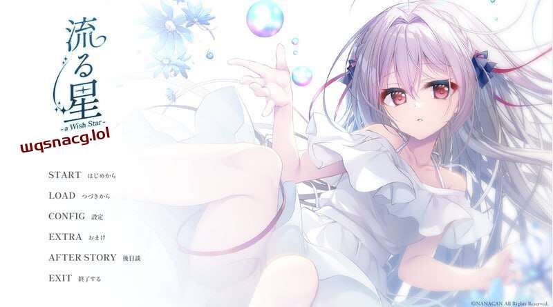 [拔作ADV] 流星-a wish star 流る星 v1.0 Steam官方中文+CG1.8G-造梦少女游戏造梦少女游戏网