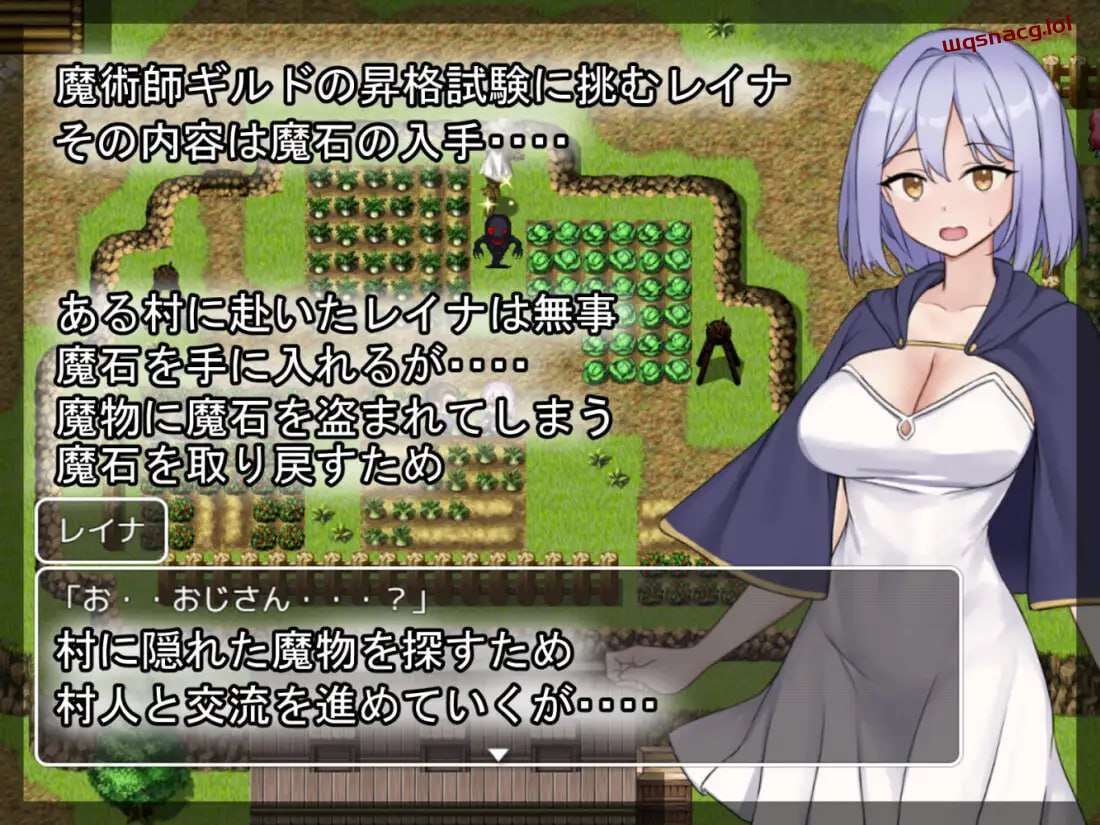 [探索RPG] 蕾娜的魔石和晋升考试 レイナの魔石と昇格試験 AI汉化版500M-造梦少女游戏造梦少女游戏网