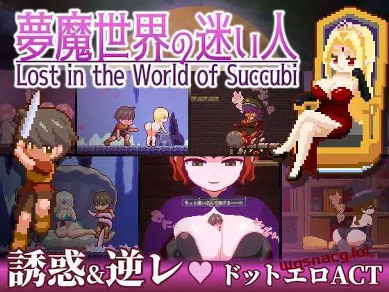 [动作ACT/像素动态] 迷失在梦境中 夢魔世界の迷い人 v1.0.1 PC+安卓 官方中文版 [1.3G]-造梦少女游戏造梦少女游戏网