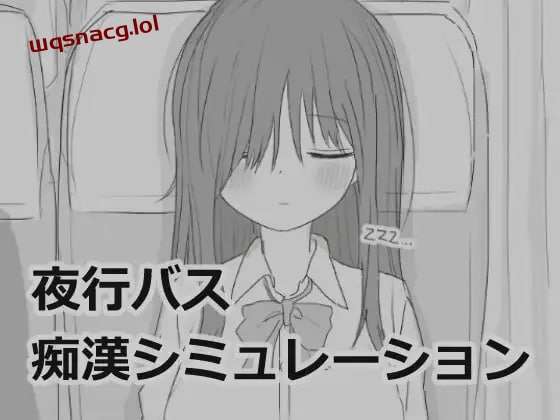 [互动SLG/黑白] 夜行バス痴漢シミュレーション 机翻汉化版 [1G]-造梦少女游戏造梦少女游戏网