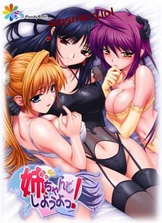 [日式ADV/后宫/PC] 姐姐，拜托你认真一点！姉、ちゃんとしようよっ！AI汉化版+全CG存档 1G-造梦少女游戏造梦少女游戏网