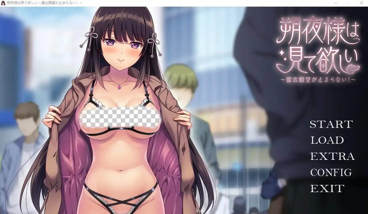 朔夜大人,请看看~无法停止的暴露愿望!~AI汉化版+全CG-造梦少女游戏造梦少女游戏网