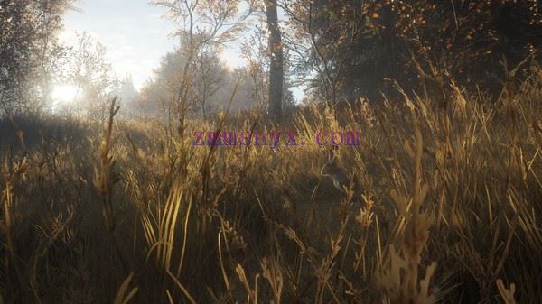 图片[15]-造梦少女游戏猎人 荒野的召唤|官方中文|Build.20937335+苏格兰狩猎保护区DLC-荒野猎魂-血誓荒原+全DLC|解压即撸| - 造梦少女游戏网-造梦少女游戏造梦少女游戏网