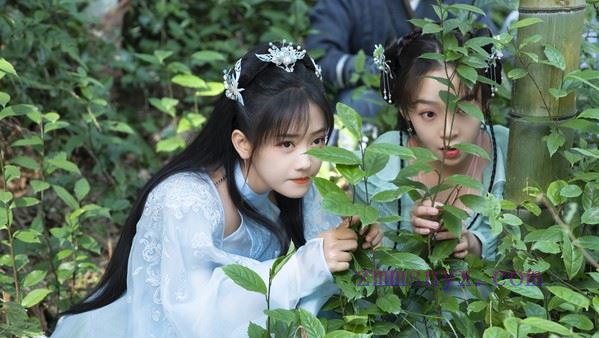 图片[6]-造梦少女游戏绝世千金重启版|中字-国语|Build.19935615+全DLC|解压即撸| - 造梦少女游戏网-造梦少女游戏造梦少女游戏网